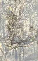 Emerging Bud 01(SOLD)